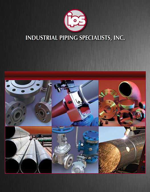 Downloadable Brochure - IPS OVERVIEW, PRODUCTS & SERVICES 